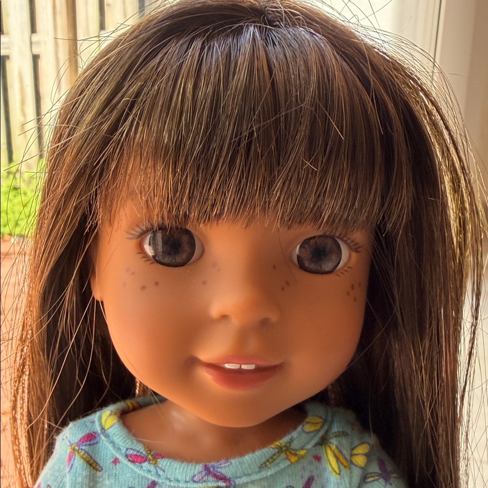 American Girl Wellie Wishers Doll with accessories